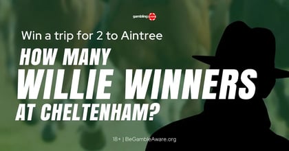 How Many Winners Will Willie Mullins Have At Cheltenham? Vote Now!