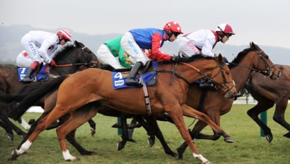 How To Pick A Winning Horse: Our Top 10 Strategy Tips