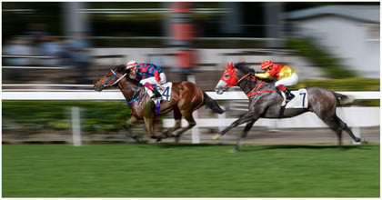 The 5 Best Horse Racing Betting Strategies to Use in 2025