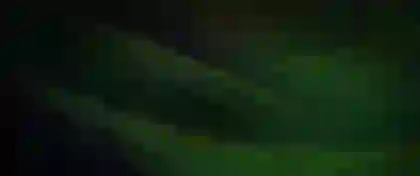 Now released at Gangsta Casino!