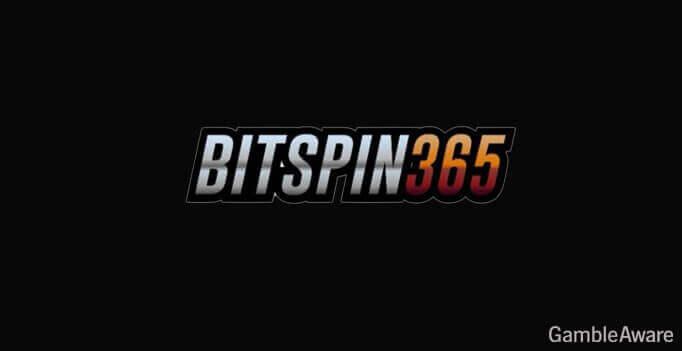 Bitspin365 casino logo