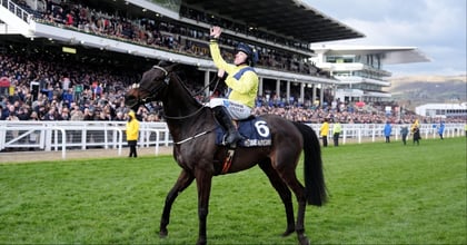 BetMGM Cheltenham Offers For The Gold Cup: Claim £40 in Free Bets