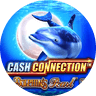  Cash Connection Dolphin&#039;s Pearl