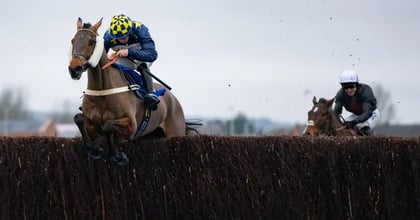 Diarmuid Nolan&#039;s Lucky 15 For 2025 Cheltenham Festival