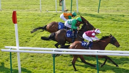 Tricast and Forecast Bets: UK Racing Betting Strategy