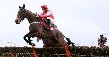 Grand National Trial Handicap Chase: Where To Watch Horse Racing Online