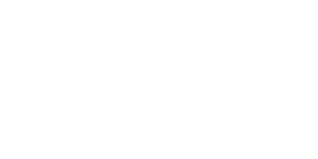 Swintt