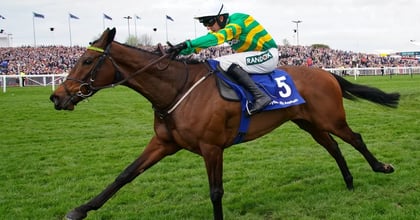 Cheltenham Festival 2025: Tanya Stevenson&#039;s Selections For Day 4