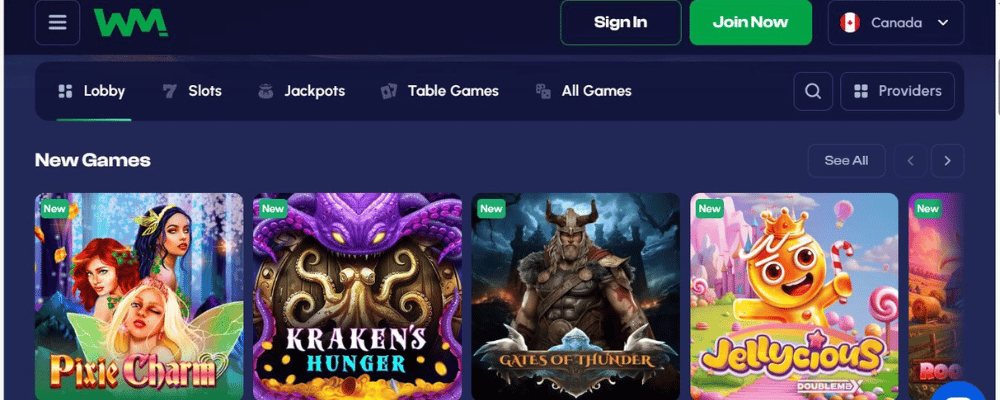 Using the Winmaker Casino Website